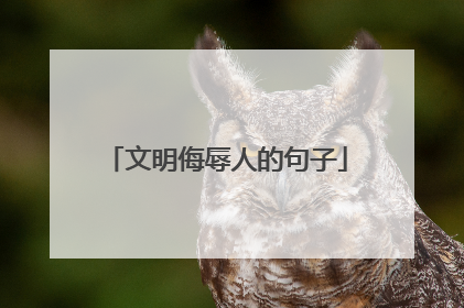 文明侮辱人的句子