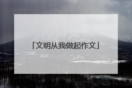 文明从我做起作文