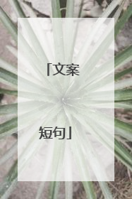 文案短句