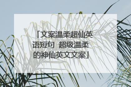 文案温柔超仙英语短句 超级温柔的神仙英文文案