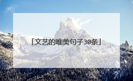 文艺的唯美句子30条