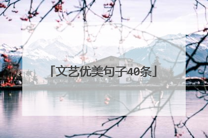 文艺优美句子40条