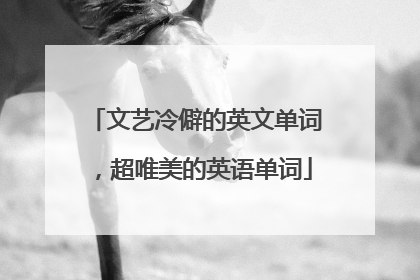 文艺冷僻的英文单词,超唯美的英语单词