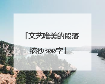 文艺唯美的段落摘抄300字