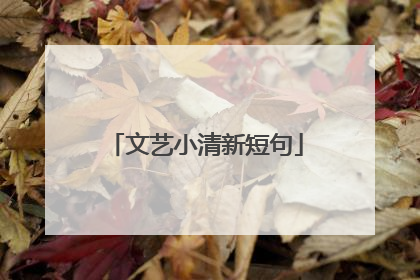 文艺小清新短句