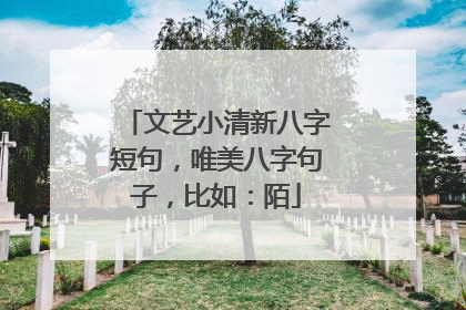 文艺小清新八字短句,唯美八字句子,比如:陌