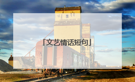 文艺情话短句
