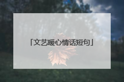 文艺暖心情话短句