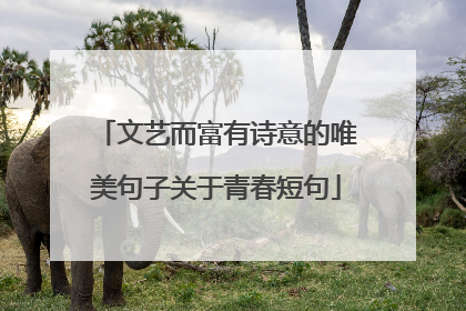 文艺而富有诗意的唯美句子关于青春短句
