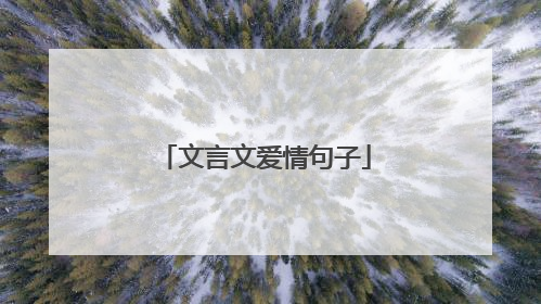 文言文爱情句子