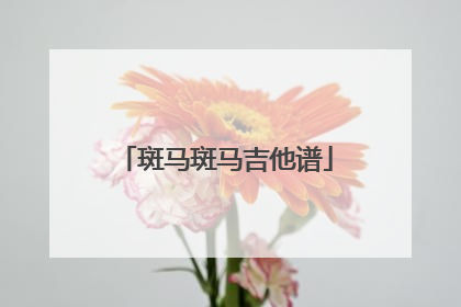 斑马斑马吉他谱