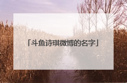 斗鱼诗琪微博的名字