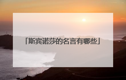 斯宾诺莎的名言有哪些