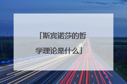 斯宾诺莎的哲学理论是什么