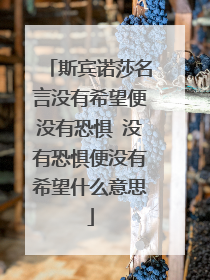 斯宾诺莎名言没有希望便没有恐惧 没有恐惧便没有希望什么意思