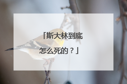 斯大林到底怎么死的？