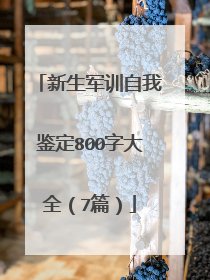 新生军训自我鉴定800字大全(7篇)