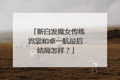 新白发魔女传练霓裳和卓一航最后结局怎样？