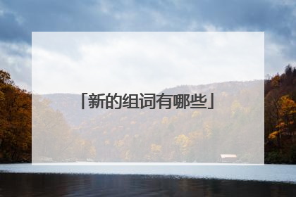 新的组词有哪些