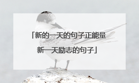 新的一天的句子正能量 新一天励志的句子