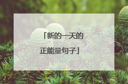 新的一天的正能量句子