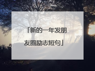 新的一年发朋友圈励志短句