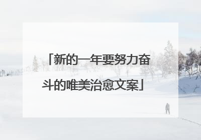 新的一年要努力奋斗的唯美治愈文案