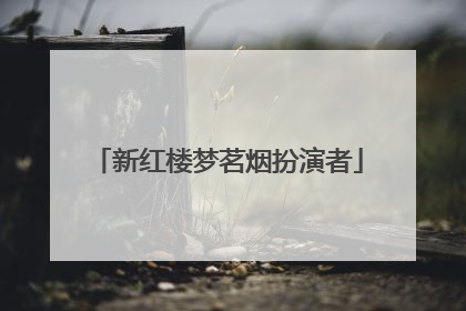 新红楼梦茗烟扮演者
