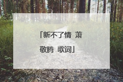 新不了情 萧敬腾 歌词