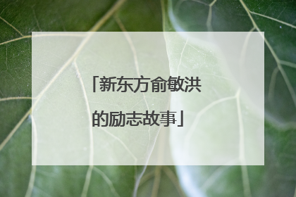 新东方俞敏洪的励志故事