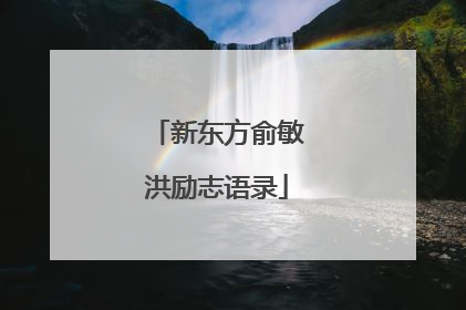 新东方俞敏洪励志语录
