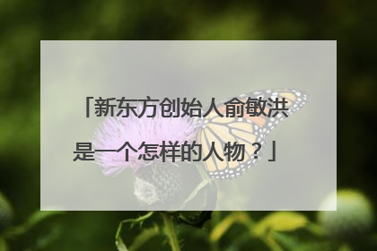 新东方创始人俞敏洪是一个怎样的人物？