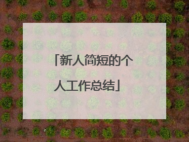 新人简短的个人工作总结