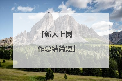 新人上岗工作总结简短