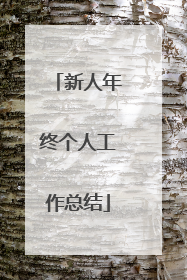 新人年终个人工作总结