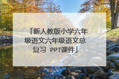 新人教版小学六年级语文六年级语文总复习 PPT课件