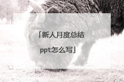 新人月度总结ppt怎么写