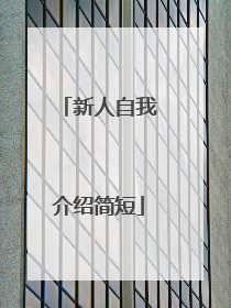 新人自我介绍简短