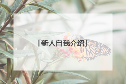 新人自我介绍