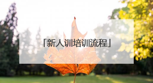 新人训培训流程