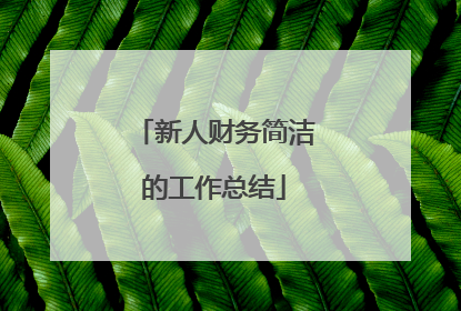 新人财务简洁的工作总结