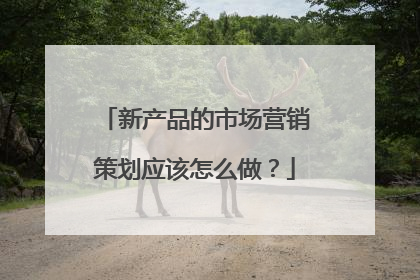 新产品的市场营销策划应该怎么做？