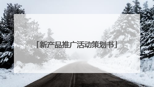 新产品推广活动策划书