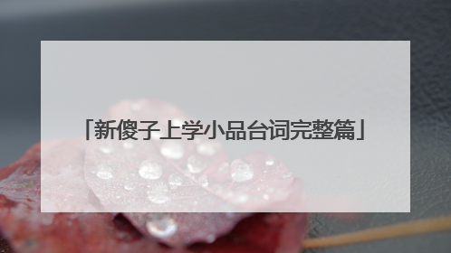 新傻子上学小品台词完整篇