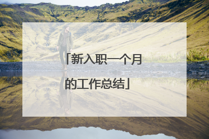 新入职一个月的工作总结