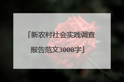 新农村社会实践调查报告范文3000字