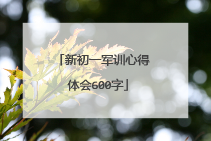 新初一军训心得体会600字