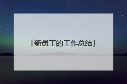 新员工的工作总结