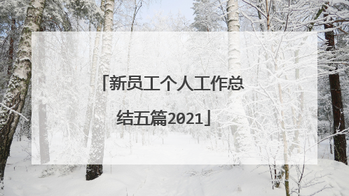 新员工个人工作总结五篇2021