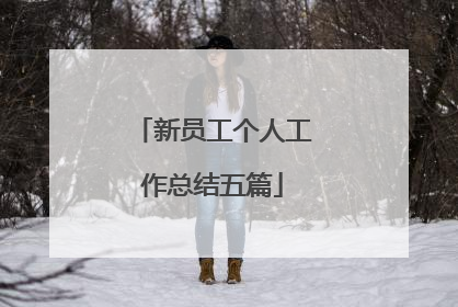 新员工个人工作总结五篇
